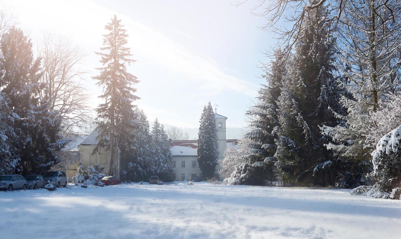 Hotel Zamek Na Skale à Trzebieszowice Extérieur photo